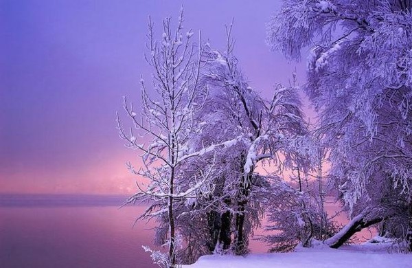 image paysage de neige