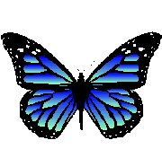 papillons004.gif